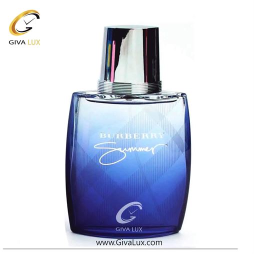   Burberry Summer for Men 2011.jpg